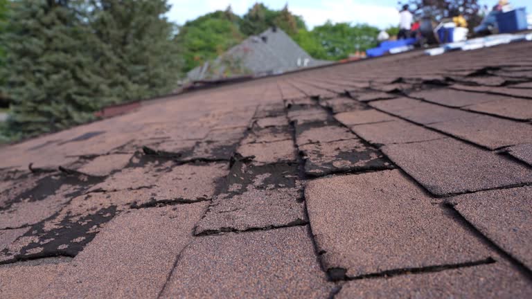 Best Rubber Roofing (EPDM, TPO)  in New Philadelphia, OH